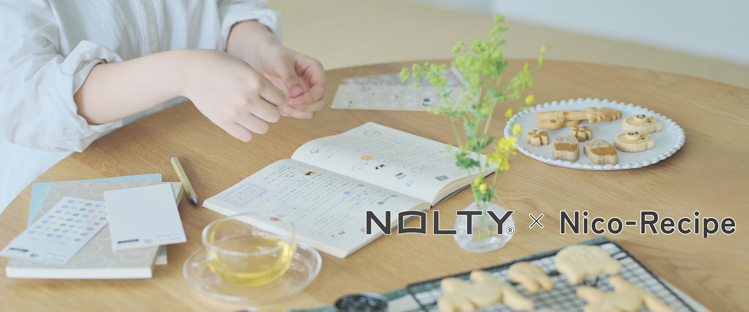NOLTY×ニコレシピコラボシリーズ
