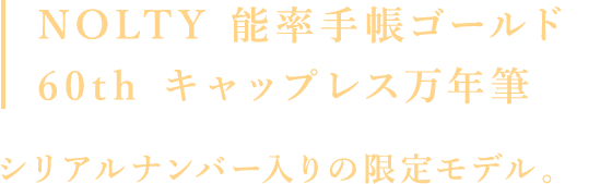 能率手帳ゴールド｜NOLTY®｜ノルティ 能率手帳 手帳、日記、カレンダー